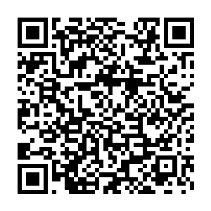 为什么会平白无故地出手抹去自己所创造世界一个似蝼蚁一般的种族呢二维码生成