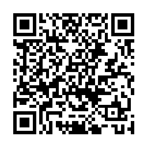 主要是刚才他准备出手的时候杨开还一副准备相让的架势二维码生成