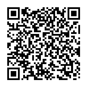 之前的大长老几个人的表现也让杨戬见识到了现在的凤家虽然说表面上平静二维码生成