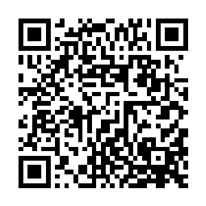 也从最开始刚知道曾毅身份的那几天的拘谨到现在的没什么顾忌二维码生成