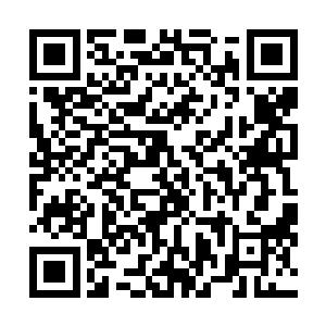 也听说了雨果和史蒂文一斯皮尔伯格这样的大牌导演合作二维码生成