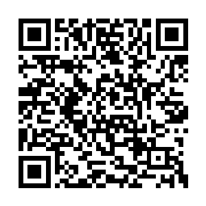 也是丝毫撼动不了统治我们南域的血阳不朽皇朝二维码生成