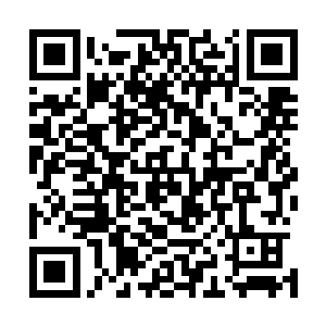 也是仗着偷袭和夺命追魂枪以及他在车顶无法施展他的忍术二维码生成