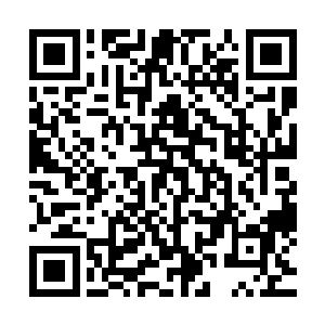 也有不少是太夏的华族百姓和来到南疆的游脚行商之类的角色二维码生成