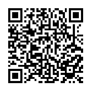也没有感觉修真界的修真者和伪修真界的修真者有什么区别啊二维码生成