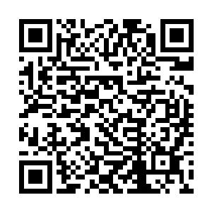 也许我和我的族人可以帮您在我们有角族中斡旋一二二维码生成