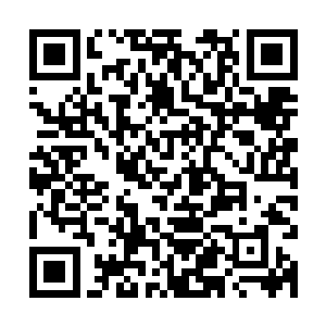 也顾不得此时自己身上这件睡衣其实也只是起到的不是遮挡作用二维码生成