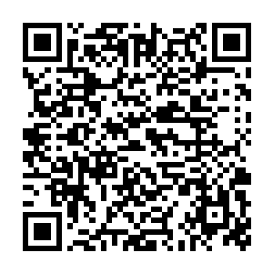 事实上这个世界任何人都无法想象小霸王体内暗藏着一个问鼎系统二维码生成