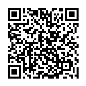 事实上这还是他们这些主演第一次见到完整的成片呢二维码生成