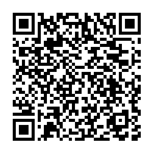 于是又派了一个侦察方面的高手和安蕾一起到了信访处和丁长生会和的二维码生成