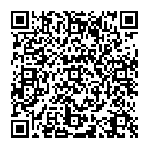 云鹤长老现在应该是将鸾凰族的秘辛和他之所以能成为鸾凰族组长的原因对苏澈一行人和盘托出了二维码生成