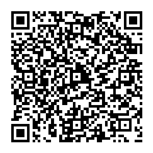 五十二楼是仅强于五十一楼的　这里依旧有无数的菜鸟　大部分都是一级二级的佣兵　所以依旧沒有什么二维码生成