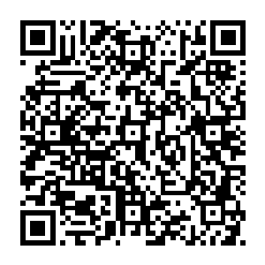 人类是星辰大海中最强大的战斗种族――这句话从星海帝国时代一直流传到了今天二维码生成