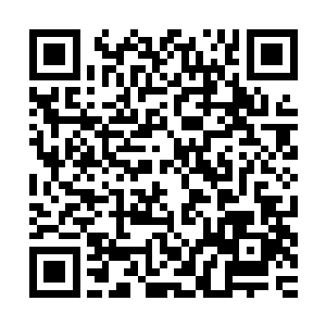 什么……什么叫算……算我赢了……我本来……本来就赢了……二维码生成