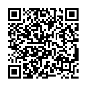 仅仅是众多把吞宝门主视为猎物的人中的一部分而已二维码生成
