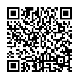 仅用了不到一个小时的时间杨戬几个人就离开了海洋的位置二维码生成