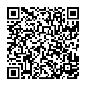 今年也取消了前几届发明的由五位表演奖获得者分别介绍五位提名人的环节二维码生成