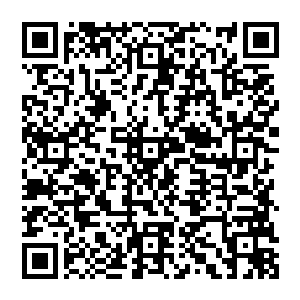 今年是首次在中场的表演节目中安排了一项揉合中华传统文化的京剧武术舞蹈的大型表演节目二维码生成