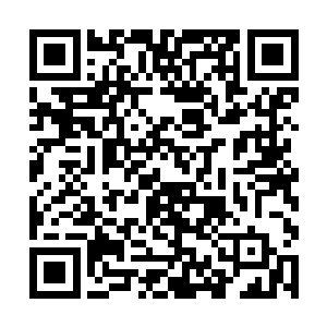 从云家到陆家牙长的一段路非要仆揖鬟群体出动护送二维码生成