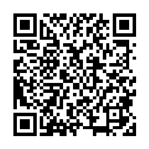 从你当律师开始我就在你的律师事务所里担任一名实习生二维码生成