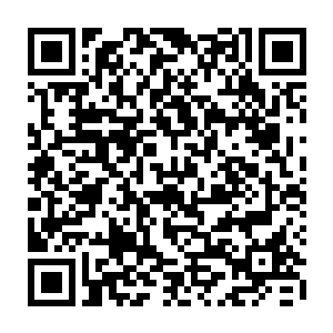 从前起落架的保养状况到后面那可以媲美重型军用运输机的大排轮后起落架二维码生成