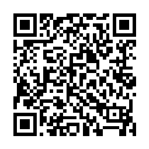 从理论上来说这次宴会和监察长的评选是没有任何关系的二维码生成