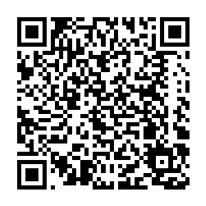 他一眼就看到了城塞这一侧的瞭望塔上有一个兔星人正抬手指着他们二维码生成