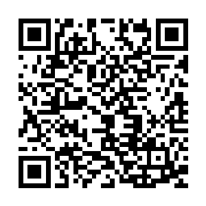 他也是少数雨果会为了看他的电影而专程走进电影院的国内演员二维码生成