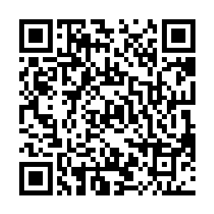 他们不过是弄出了一些用金坷垃强化过的普通武器而已二维码生成