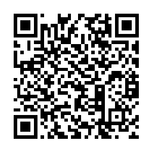 他们不过是用几百条人命去略微拖延时间的小卒子而已二维码生成