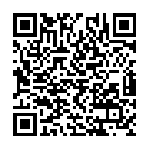 他们也和那些坐在中央处的散修是同样的身份不假二维码生成