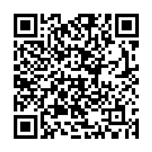 他们也总算是知道了他们顾虑的根源在什么地方了二维码生成