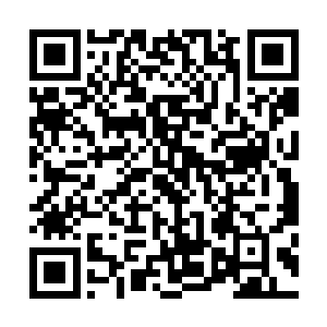 他们二人的实力在同样修为的修真者当中已经算是很强的了二维码生成