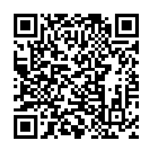 他们从刚才夏天发现他们的位置到夏天发出攻击这个过程二维码生成