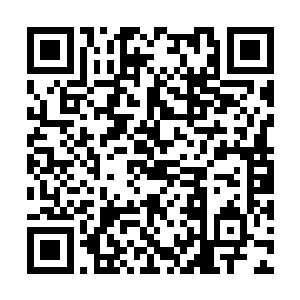 他们会让我们可以拿到那种可以指责他们的证据吗二维码生成