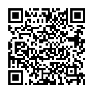 他们已经知道了南林城杨家和沧浪城周家的心思二维码生成