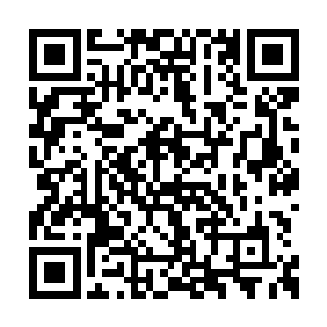 他们总不可能对一个现任知州的生死不管不顾罢二维码生成