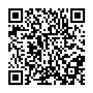 他们根本不可能抵挡住无边无际无穷无尽的变异兽攻击二维码生成