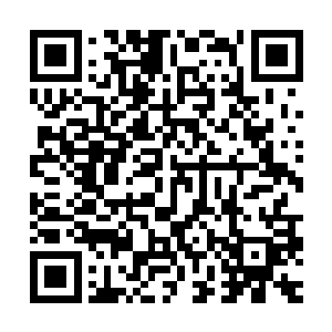 他们每年都会专门为我采集一些黄庭世界内的珍稀贡品供我享用二维码生成