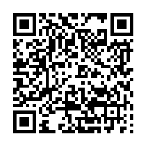 他们没办法在几个主要国家的领土之内设立医疗机构二维码生成