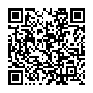 他们的晶铠和巨神兵也经过了最后的强化改装和安全性检测二维码生成