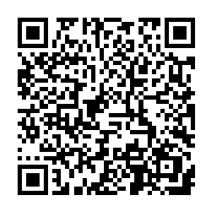 他们身上所展现的斗志不止震撼到了直接和他们正面对上的军事学院的新生二维码生成