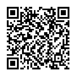 他们还要在这份成绩单上寻找自己的名次和分数呢二维码生成