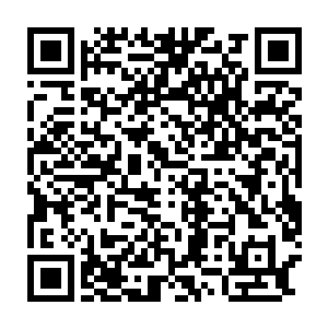 他凤箫又凭什么能够暂时压制住这个连鬼谷二仙都束手无策的毒素二维码生成