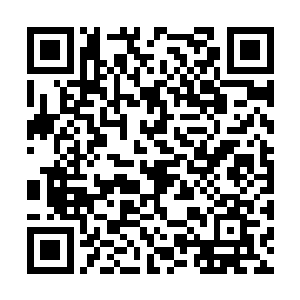 他发现胡人绿莹莹的眼珠子跟野狼的眼睛一模一样二维码生成