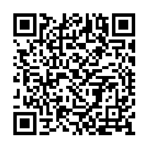 他可不敢保证杨洛会不会真的把他在窗户扔出去二维码生成