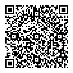 他对这个平时看起来斯斯文文但一到比赛就充满了激情就仿似换了一个人似的国服第一瑞雯也是非常欣赏的二维码生成