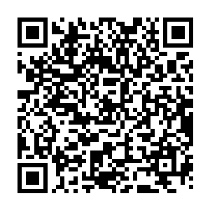 他没有脸去见上几任的老门主以及那些为了守护天门一一战死的弟子与高层二维码生成