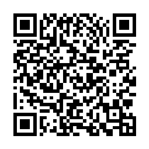 他甚至怀疑三大家族学员的这次撤离就是一次精心的安排二维码生成