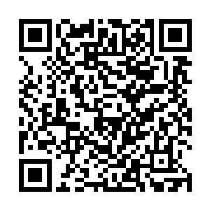 他的确可以从雨果的文字之中勾勒出梅尔文的整个形象二维码生成